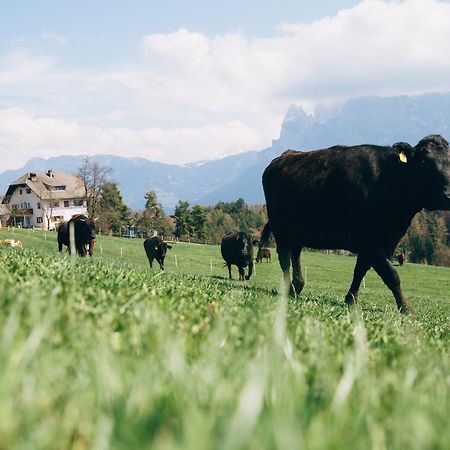 Alpin Farm Linde - Oberweidacherhof Collalbo Kültér fotó