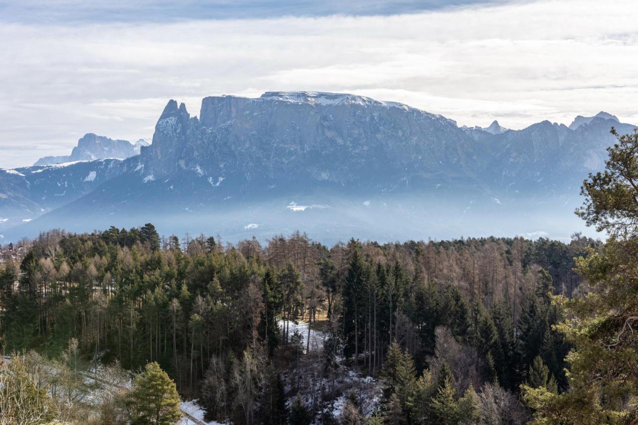 Alpin Farm Linde - Oberweidacherhof Collalbo Kültér fotó