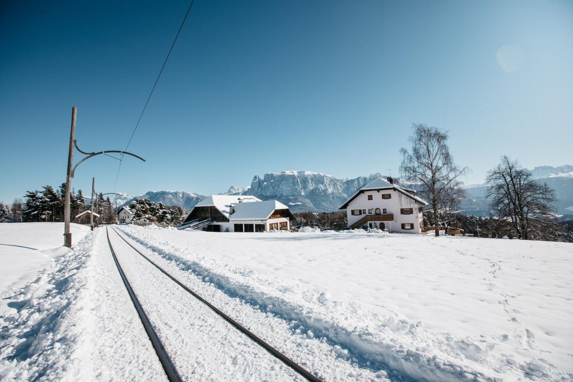 Alpin Farm Linde - Oberweidacherhof Collalbo Kültér fotó